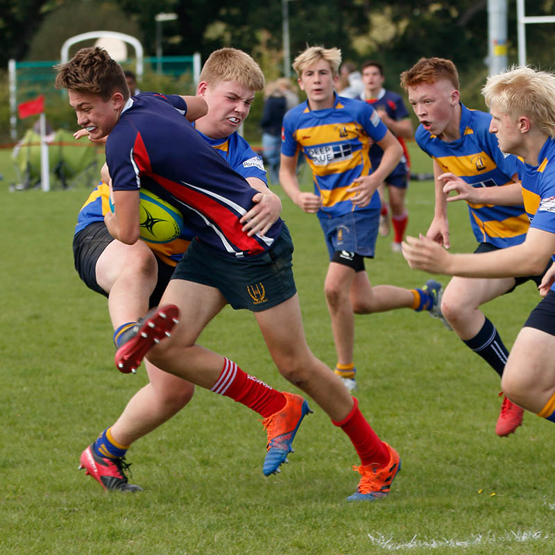 membership_0000__MG_2805